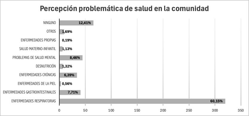 Problemáticas de Salud