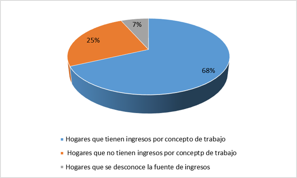 Gráfico de ocupación y fuentes de ingreso